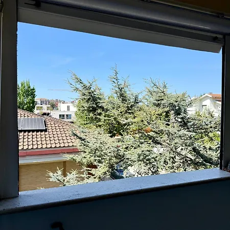 Da Catia Civitanova Marche